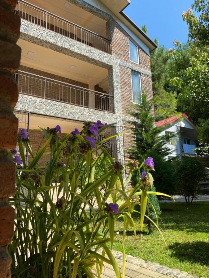 Guest House Shekvetili 외부 사진