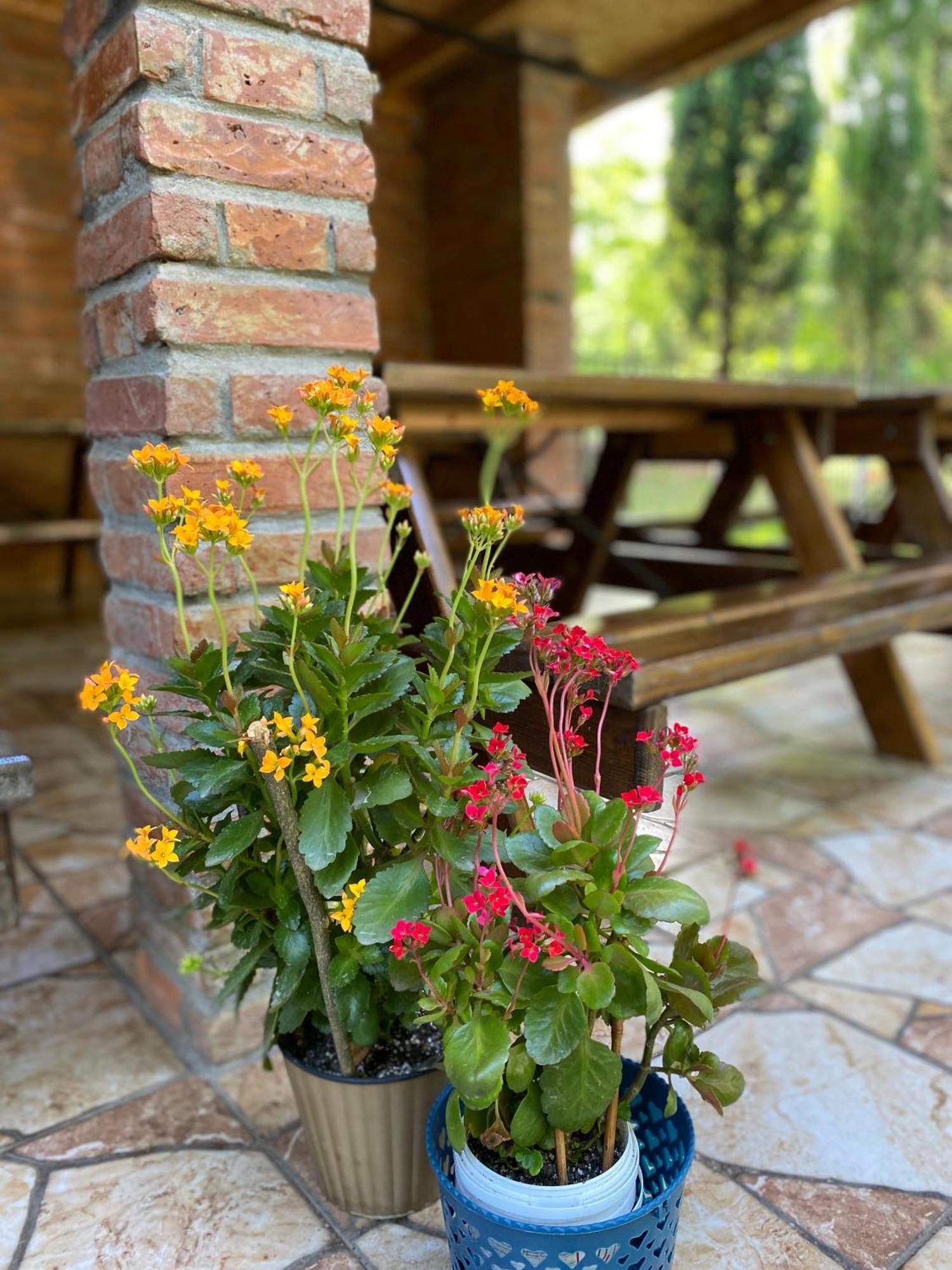 Guest House Shekvetili 외부 사진