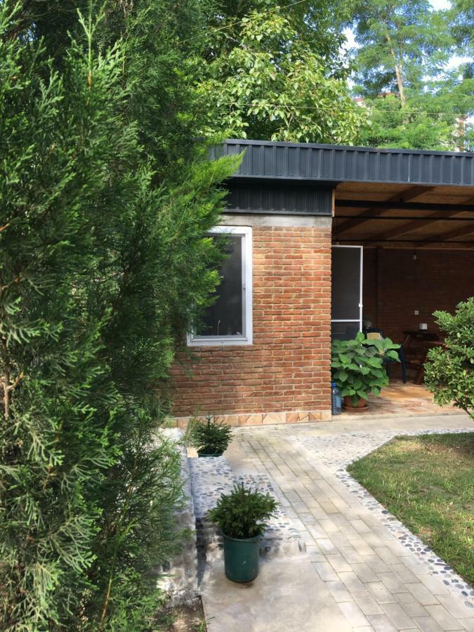 Guest House Shekvetili 외부 사진