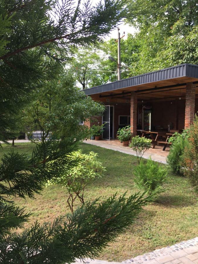 Guest House Shekvetili 외부 사진