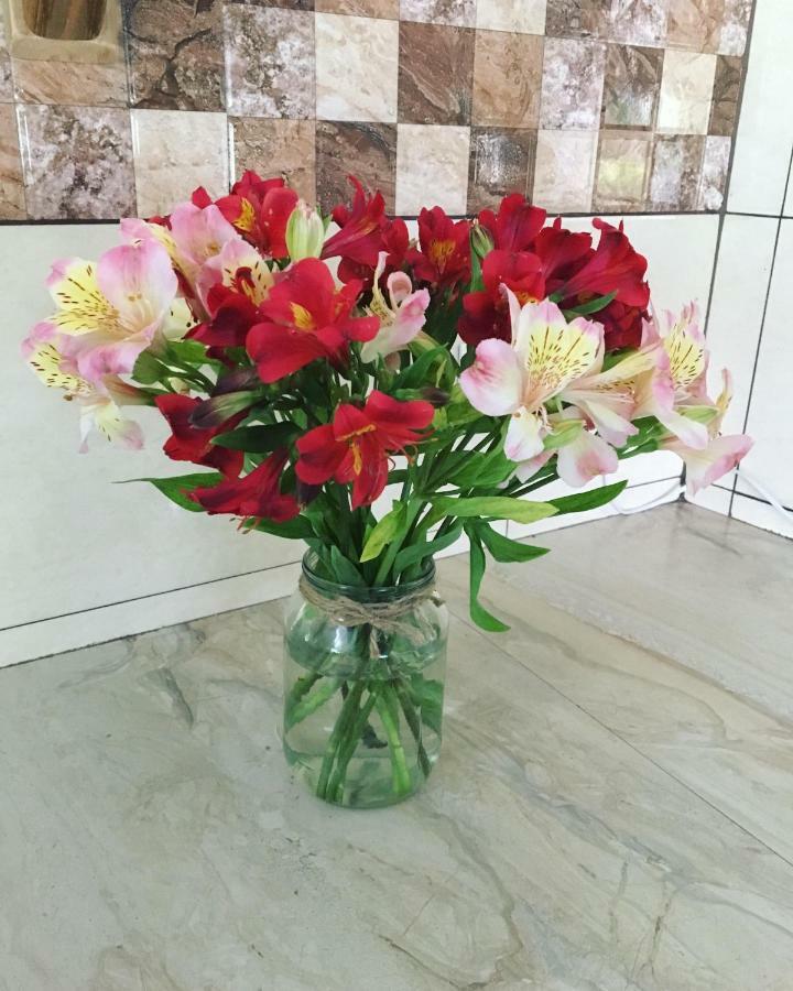 Guest House Shekvetili 외부 사진